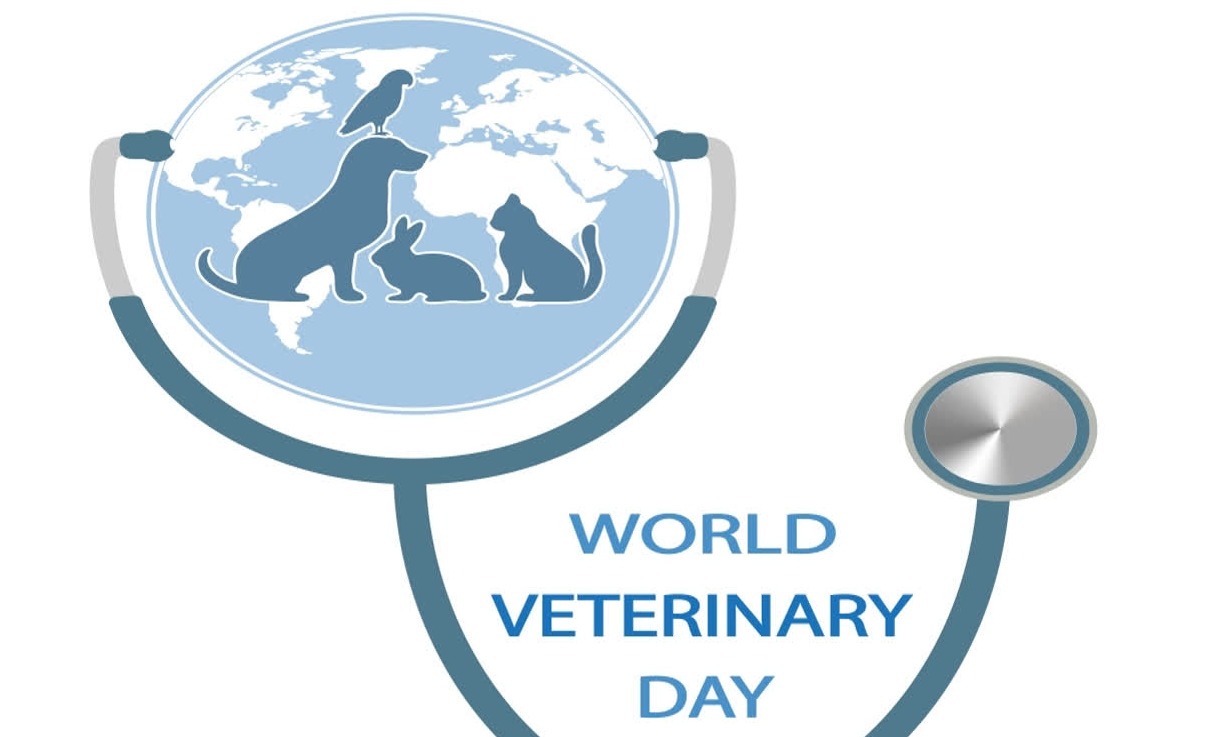 Paws, Claws, and Applause: World Veterinary Day 2025 Puts Teamwork in the Spotlight!