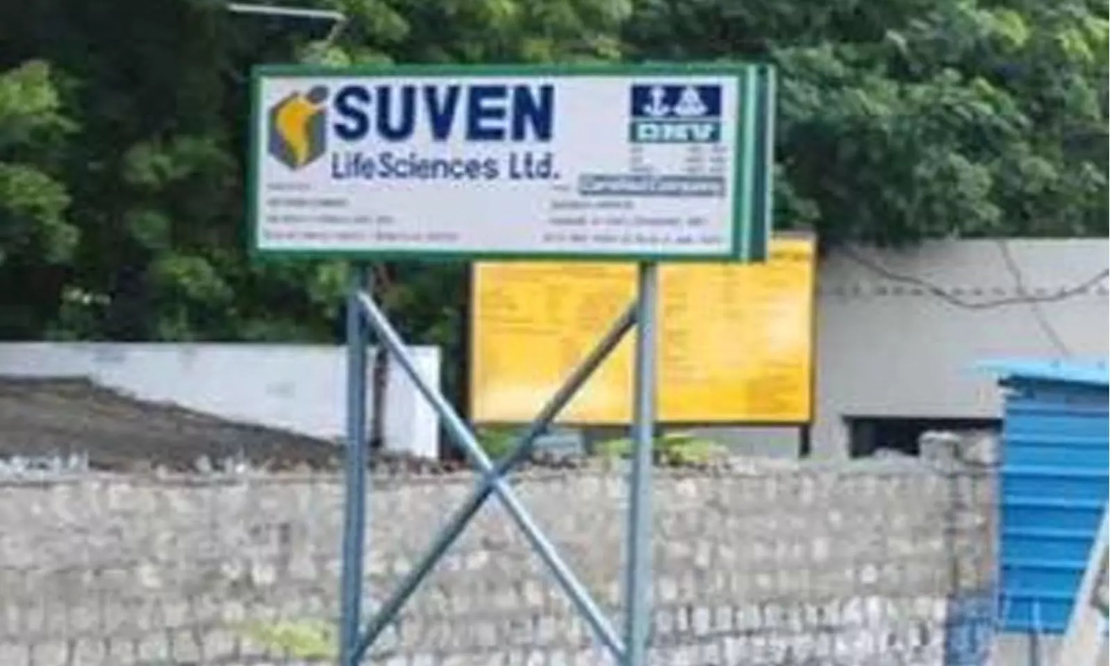 Suven  Life Sciences Hits Full Mark: Ropanicant Trial Reaches 100% Enrollment, Lifts MDD Hopes