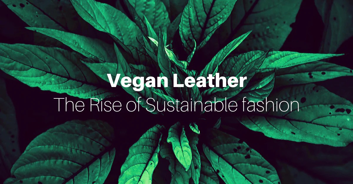 Can Only Food Be Vegan? Check These Vegan Footwear Brands in India: A Sustainable Fashion Revolution