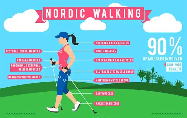 Nordic Walking: The Ski-Inspired Fitness Secret That’s Trimming Waists and Turning Heads