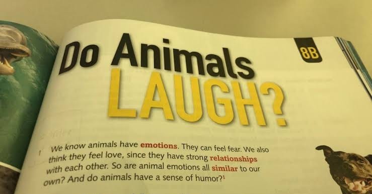 Humans Joke, Animals Don’t: Study Reveals the Unique Laughter of Our Species