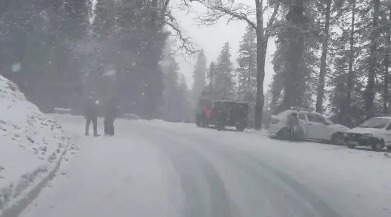 Fresh Snowfall Blankets Himachal's Upper Reaches