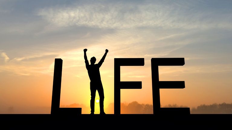 The Real YOLO Question: Why Experts Say Neither “Enjoy Now” nor “Work Later” Truly Works