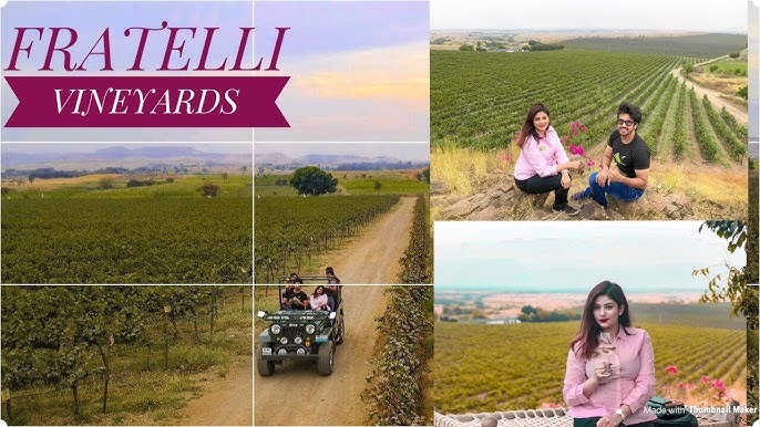 Fratelli Vineyards’ Promoters Top Up Stake After Warrant Conversion