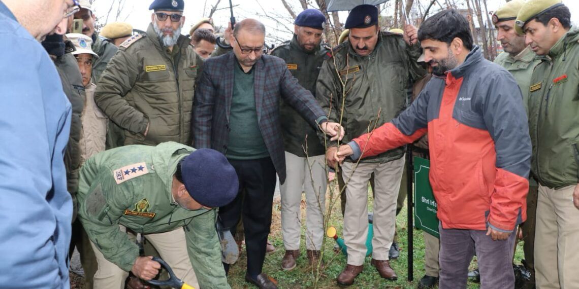 Walking Through Time, Planting for the Future: ‘Chinar Day’ Celebrations in Full Bloom
