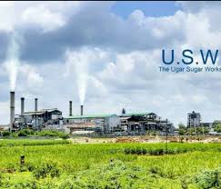 Sugar Rush: Ugar Sugar Works’ Q4 Profit Soars, Leaving Rivals in the Dust!