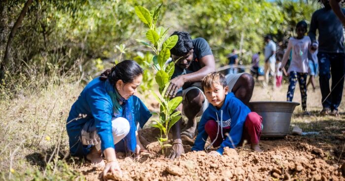 The Great Green Sprint: 500K Trees in 60 Minutes, and That’s Just the Seedling