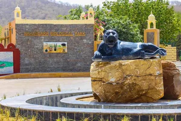 Nahargarh Biological Park Implements Special Measures To Protect Wildlife From Cold Wave