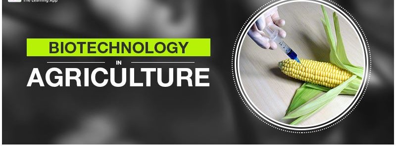 The Future of Farming: Unleashing the Power of Agricultural Biotechnology