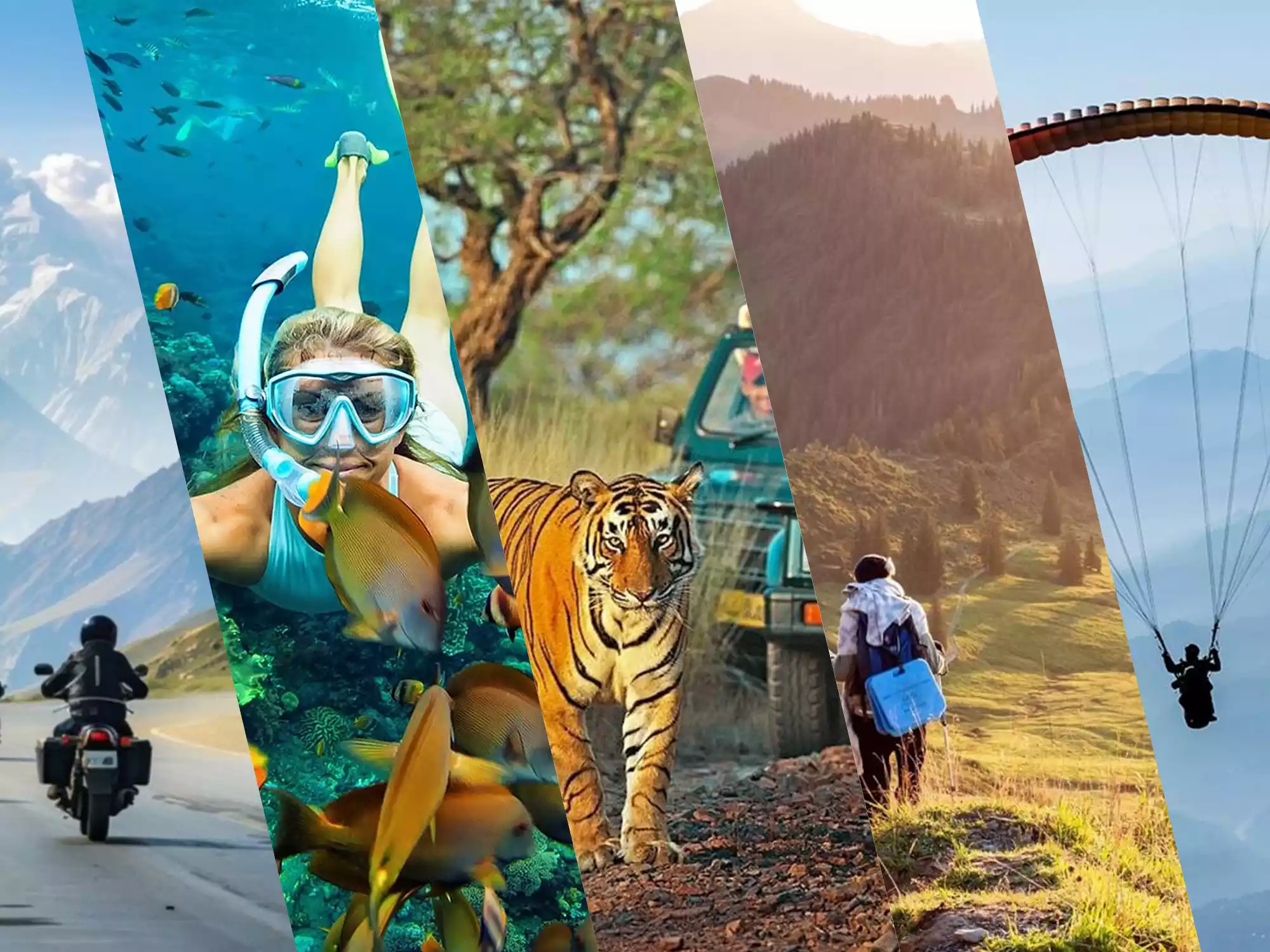 India’s Wild Canvas: 10 Breathtaking Camping Destinations Across Mountains, Deserts, Rivers & Coasts