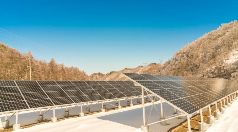 Ravindra Energy Secures Major Solar Projects with Competitive Tariff at ₹3.10/unit