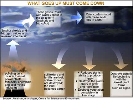 Acid Rain Alert: IMD-IITM Study Reveals India's Downpour Chemistry Changing