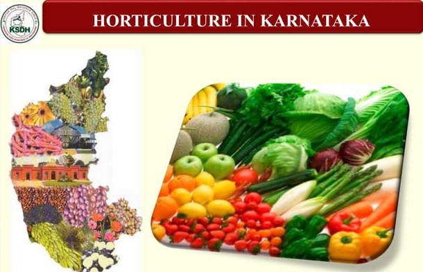 Sowing Success: Karnataka's Groundbreaking Horticulture Development Scheme