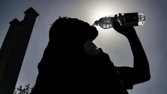 Bengaluru's Scorching Summer: When Will the Heat Subside?