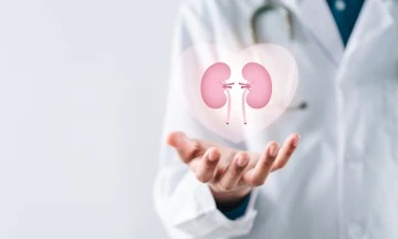 Kidneys Under Pressure: Everyday Habits That Could Be Harming You