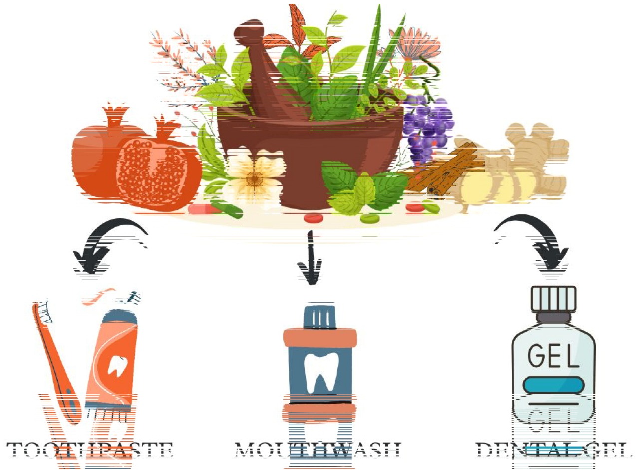 Ayurveda’s Dental Promise: Fact-Checking The Claim Of One Cure For All Oral Issues