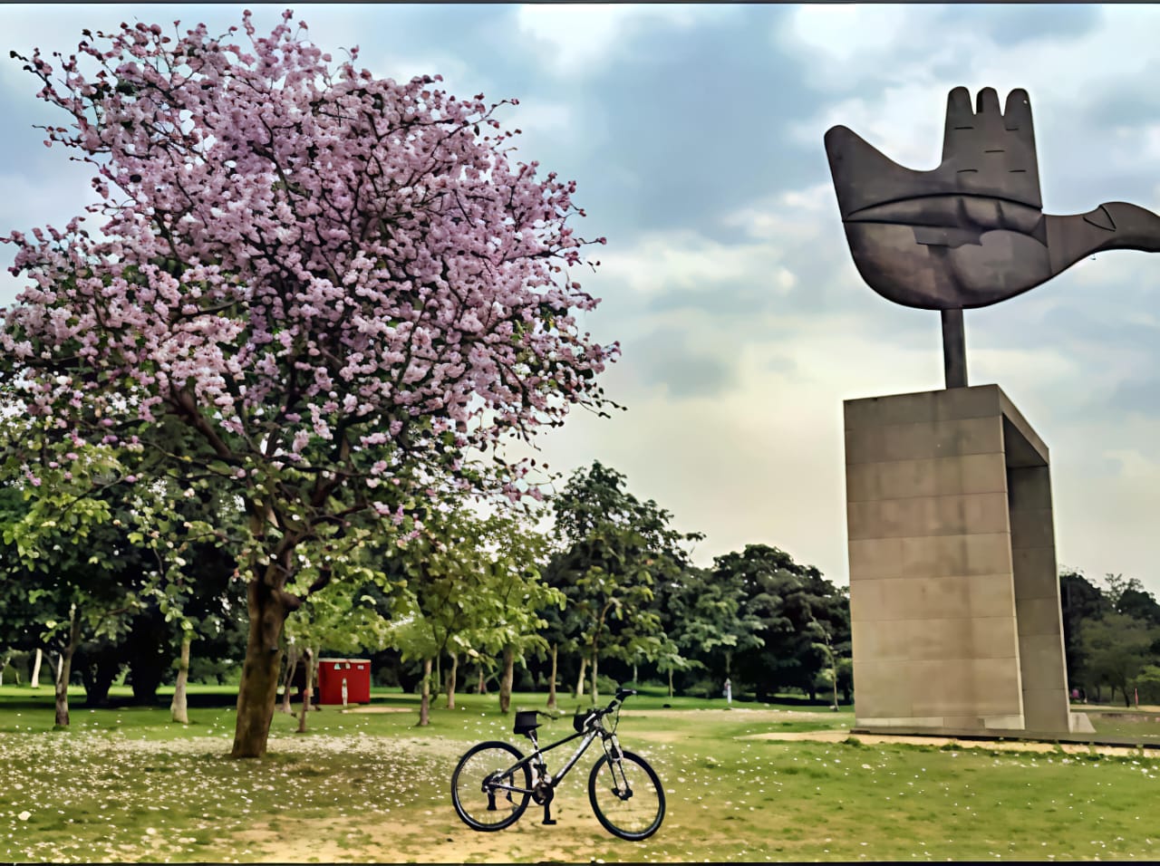 Rain, Rejuvenation, and Revelry: Why Chandigarh’s Monsoon Is the City’s Best-Kept Secret