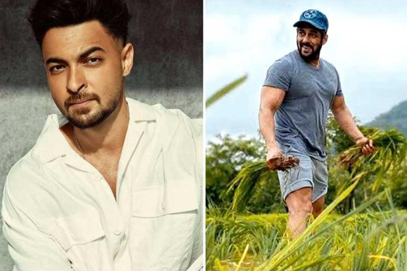 You Can Only Leave Salman's Farmhouse When He Wants: Aayush Sharma