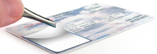 The Digital Shield: Protecting Borders and Benefits with Cutting-Edge IDs
