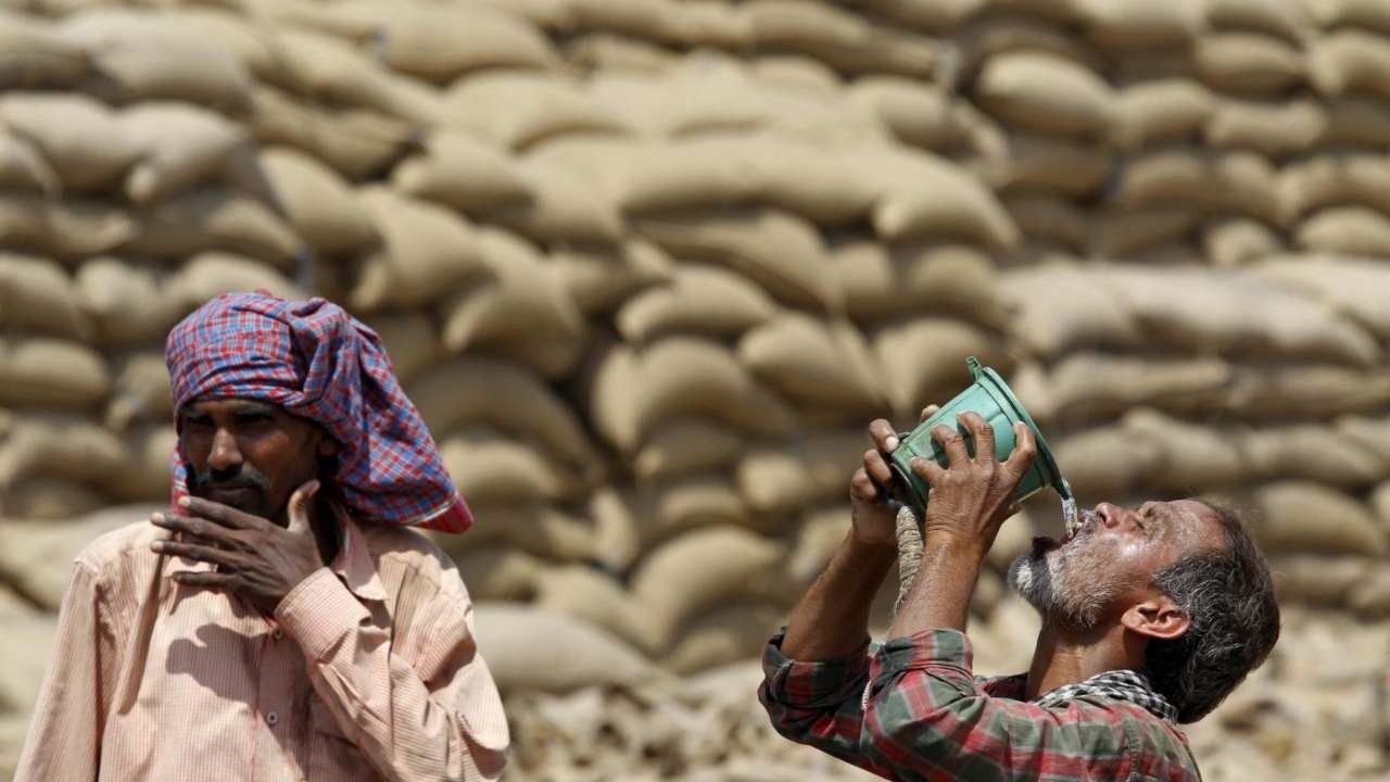 Wheat Yields at Risk as India Faces Unusually Warm February