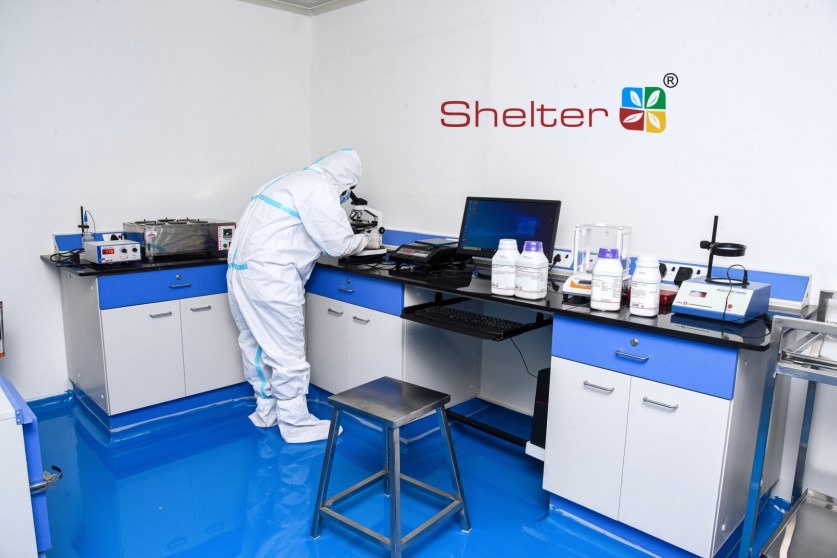 Shelter Pharma Launches DB Cure Capsules To Strengthen Nutraceutical Portfolio