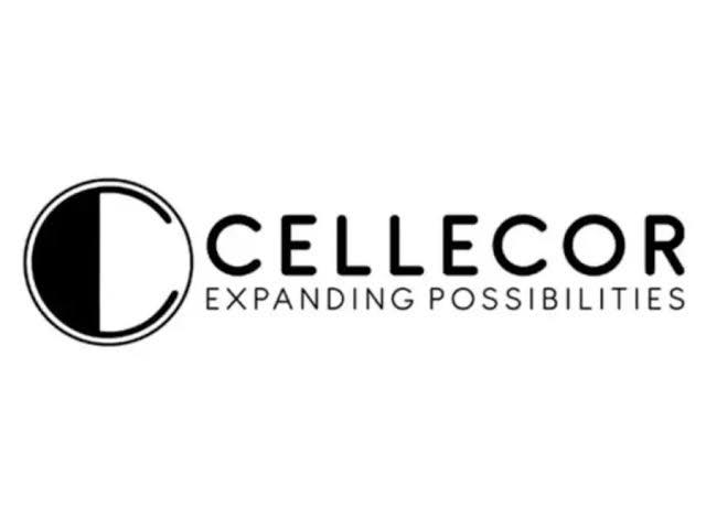 Cellecor Gadgets Expands Global Footprint with New Subsidiaries in UK and Africa