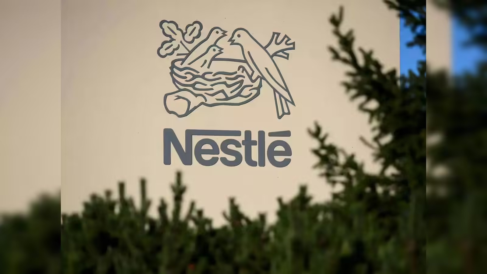 Nestle India Shares Climb 3.4 Percent as FMCG Demand Firms Up