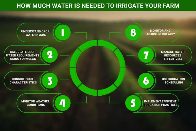 Sustainable Farming: New Water Management Guidelines Issued for Wheat Growers