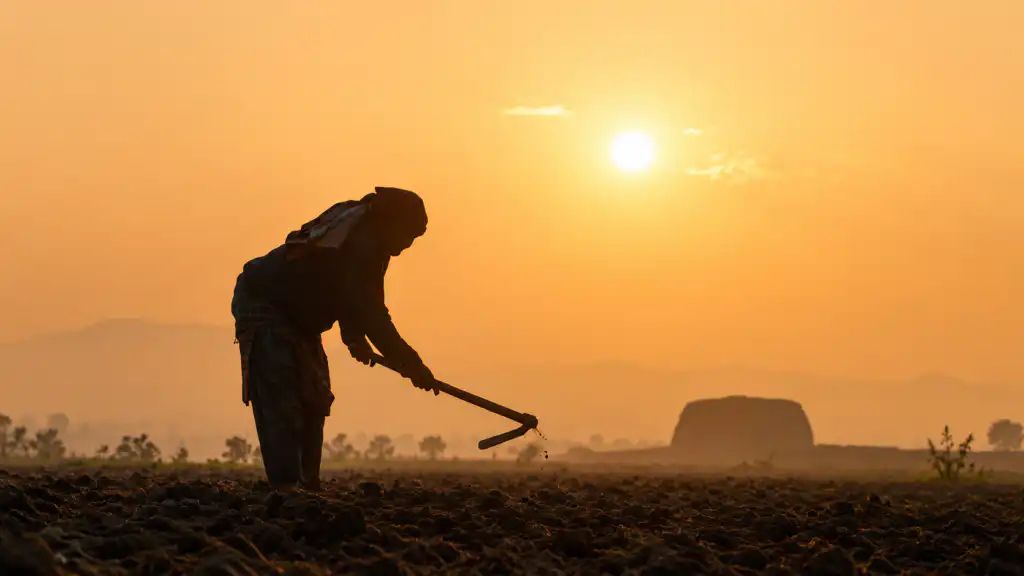 Yields and Shields: Rs7.1 Billion Agri-Storage Facility Formally Launched