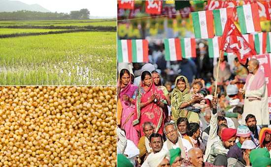 Govt works out plan to stop distress sale of farmers' crop