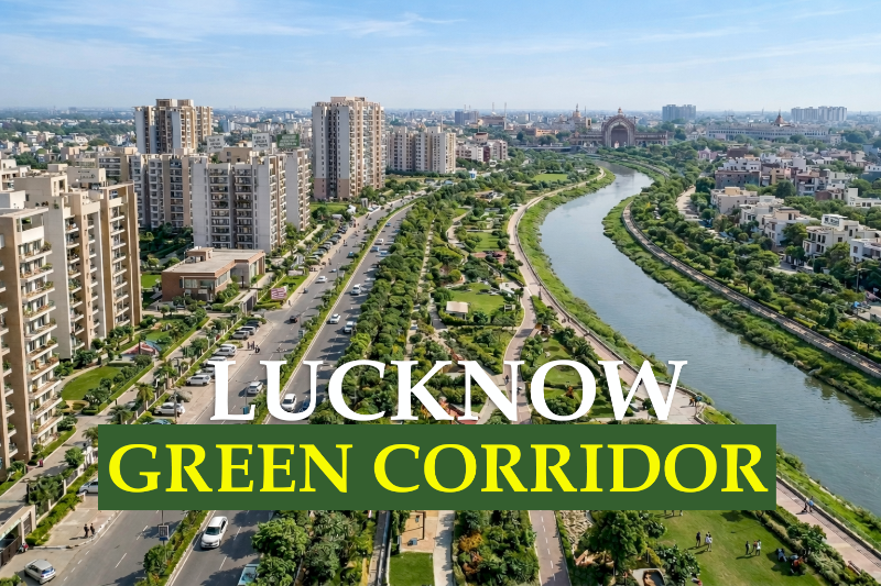 Translocated Trees Achieve 95% Survival Rate in Lucknow Green Project