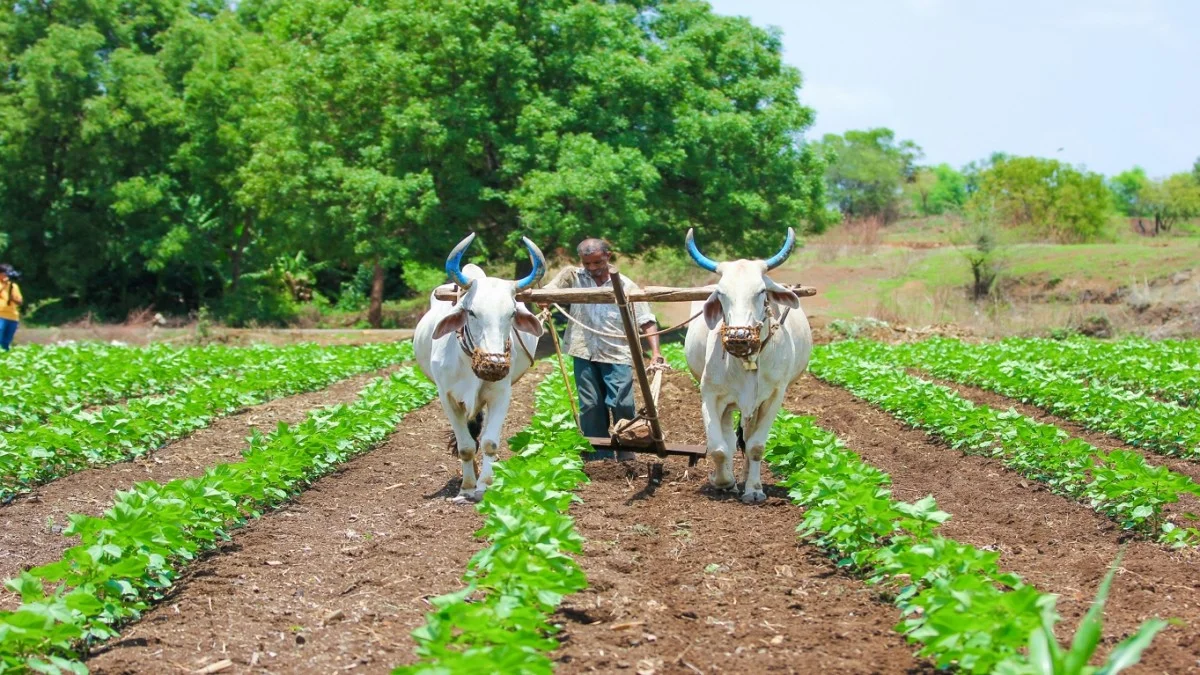 National committee to be constituted to promote natural farming: Chouhan