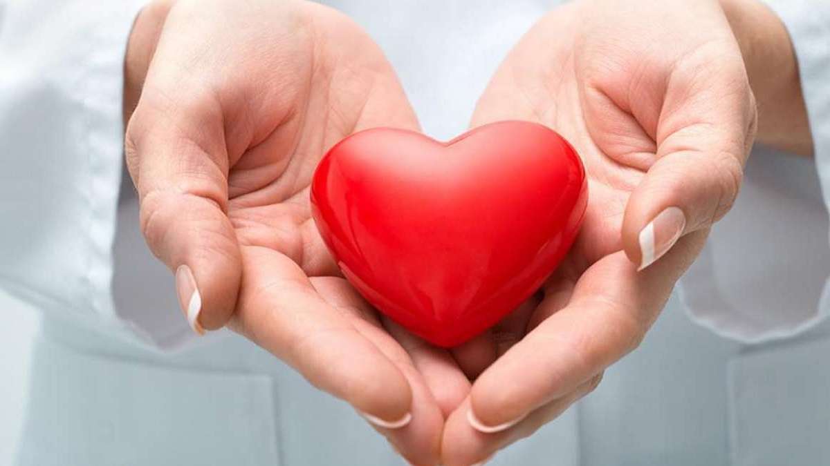Zydus Medtech Joins Forces with Braile Biomedica to Deliver Revolutionary TAVI Heart Technology to India and Europe