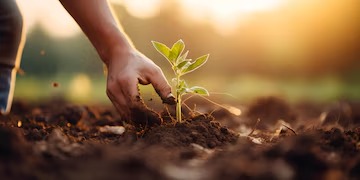 Harvesting Dreams: IFFCO's 2025 Agri-Grad Program Promises a Bumper Crop of Opportunities!