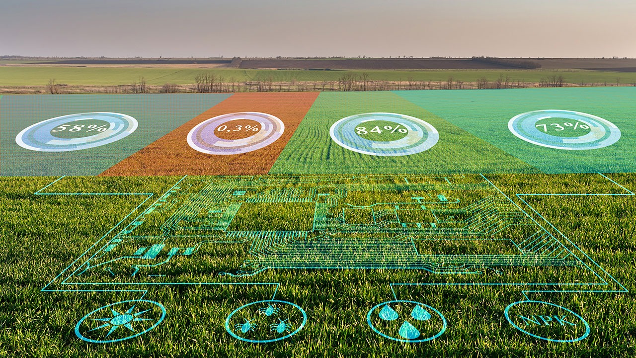 Digital Fields, Real Harvests: The Incredible IoT Innovations Turning Indian Farms Into Smart Farms