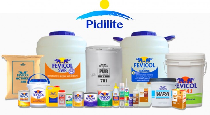 Pidilite Industries Q1 Profit Reaches ₹8.72 Billion