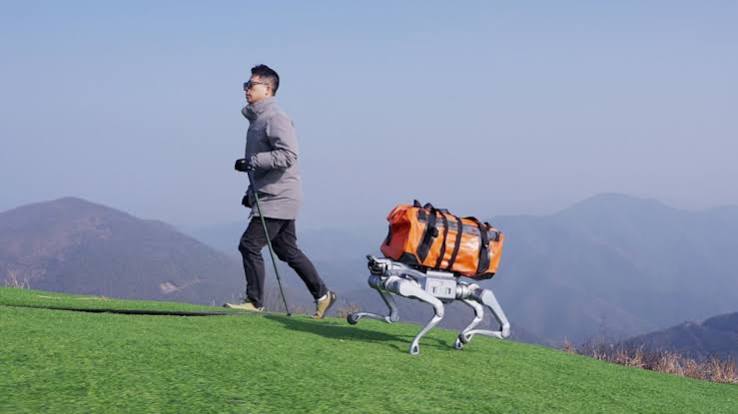 Paws, Passports, and Power Outlets: The Wild Frontier of AI-Powered Travel Buddies