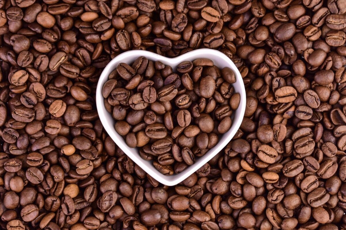 Brewed awakening: Does your heart swoon for morning coffee? Cardiologist weighs in on AFib and the daily cup