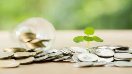 Top 10 Best-Performing Mutual Funds for August 2025: Equity Funds Lead the Charge Amid Market Recovery