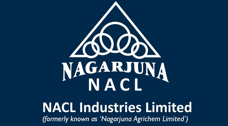 NACL’s Q3 Snapshot: Stable Sales, Profitability Challenges, Strategic Investment Ahead