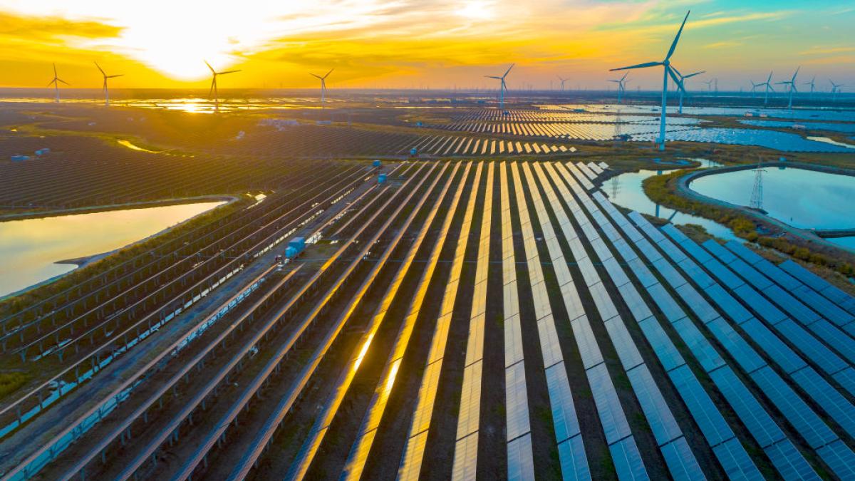 India Sparks Energy Revolution: Government Vows to Create an Investor-Friendly Powerhouse!