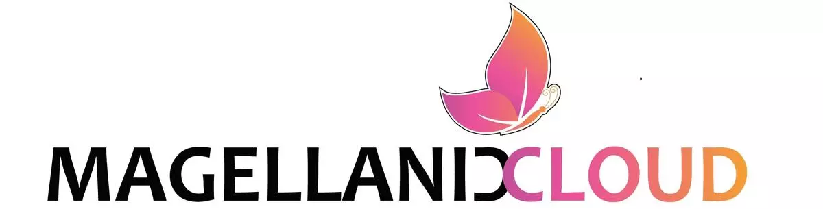 Magellanic Cloud Unit Secures ₹36.1M Project, Strengthening IT Services Portfolio