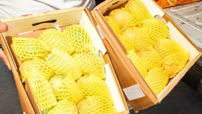 Mango Diplomacy: UAE Becomes Top Market for Indian Harvest