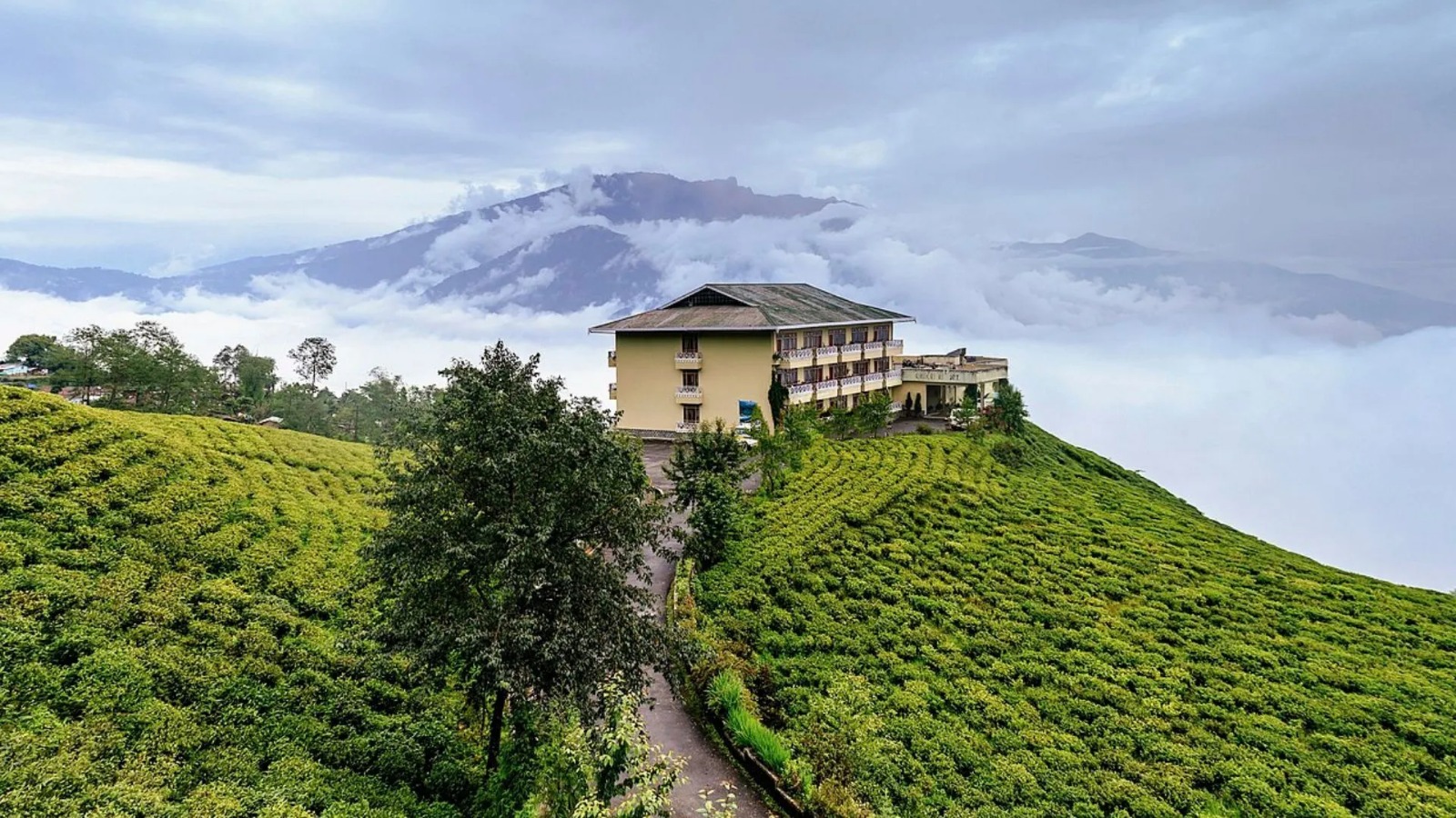 Six Indian Tea Estates And Regions Every Traveler Should Explore