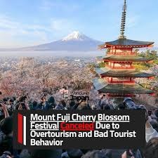 Mount Fuji Cherry Blossom Festival 2026 Cancelled Due to Overtourism