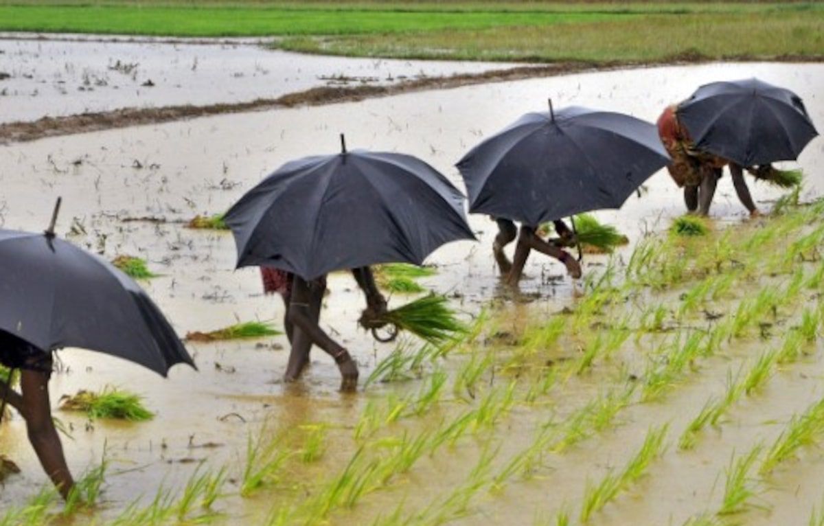 Sowing the Seeds of Optimism: Farmers Gear Up for a Monsoon Windfall