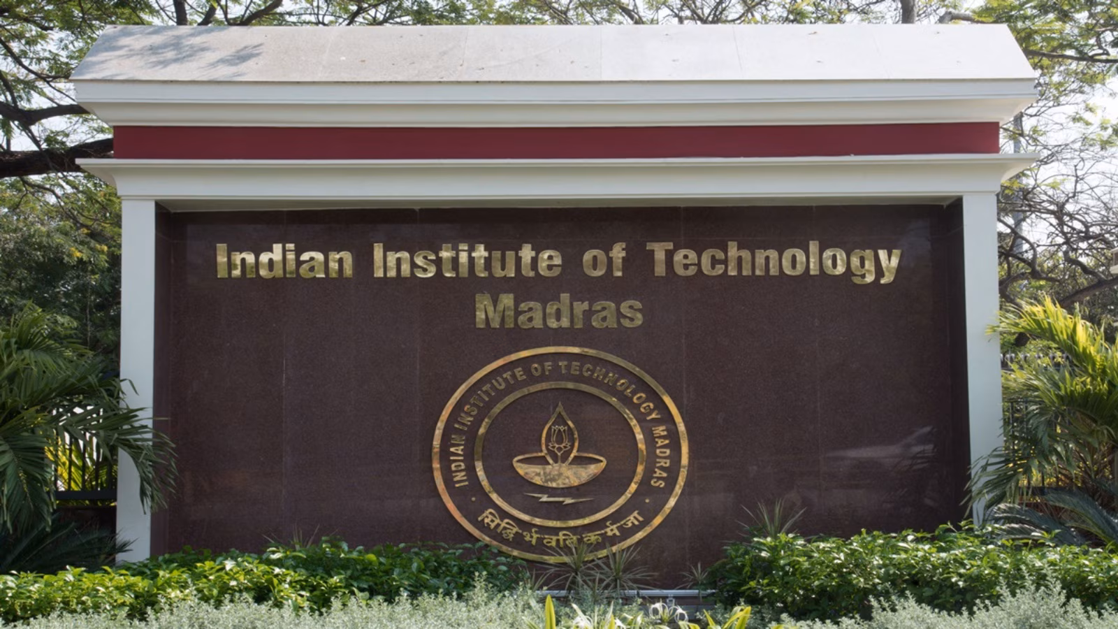 Olympiad Champions Get Fast Track to IIT: Exclusive Seats Unveiled