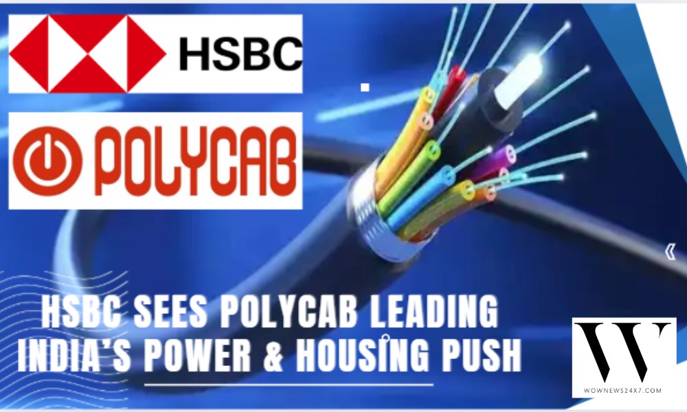 HSBC Powers Up Polycab: Target Price Raised to ₹8,900 Amid Strong Growth Outlook