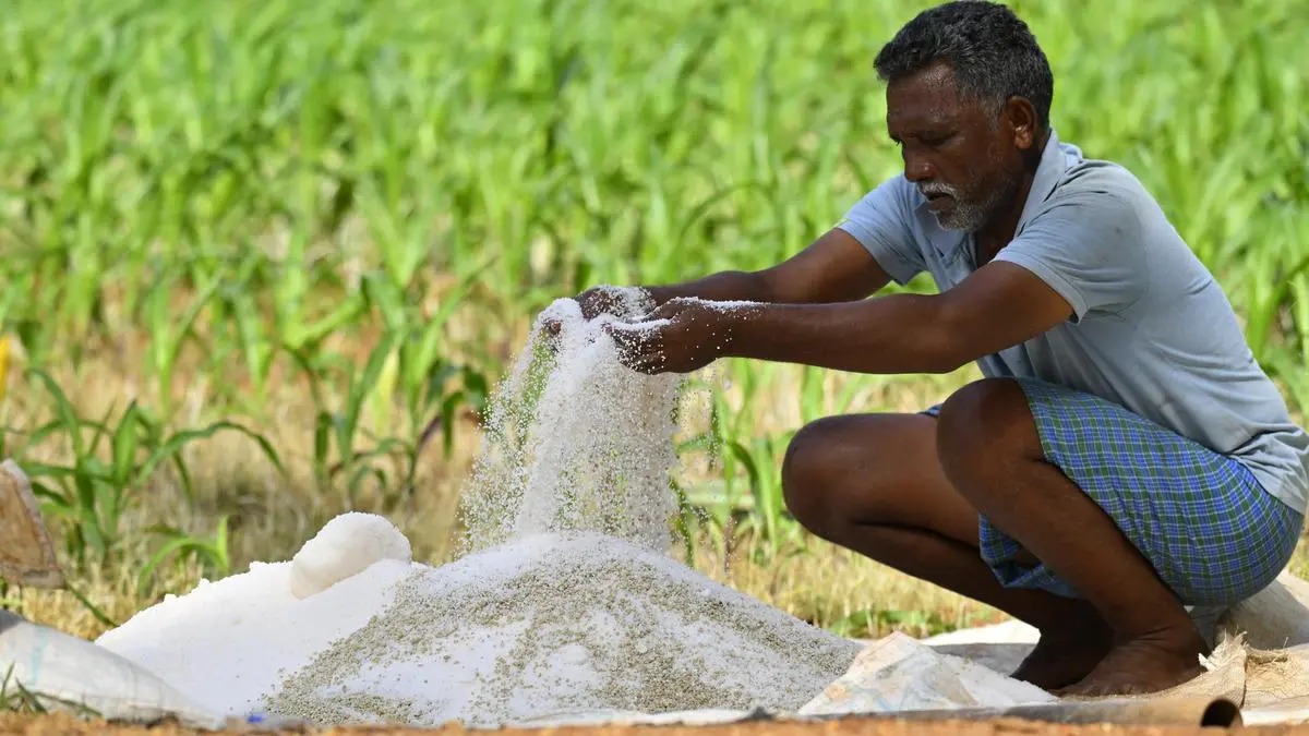India’s Fertilizer Stocks Surge On Iran War De-Escalation Hopes