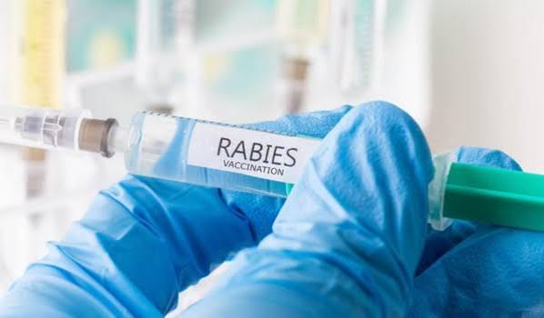 Abhayrab Vaccine Row Takes a New Turn: “Those Vials Aren’t Ours,” Says IIL